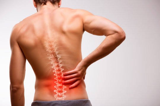 Back Pain Spine Diagnostics Diagram